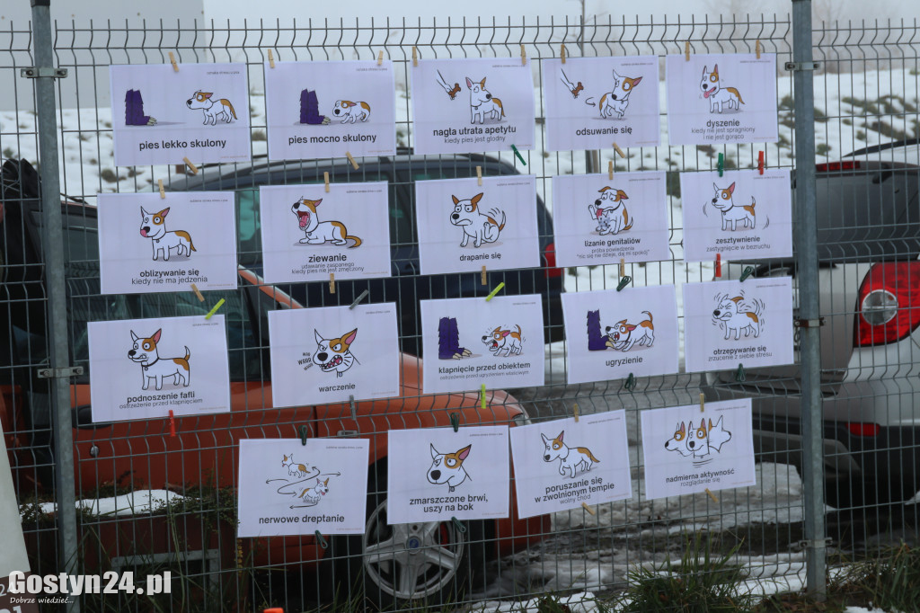 Mikołajkowy Dzień otwarty w schronisku w Dalabuszkach