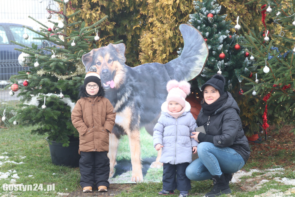 Mikołajkowy Dzień otwarty w schronisku w Dalabuszkach