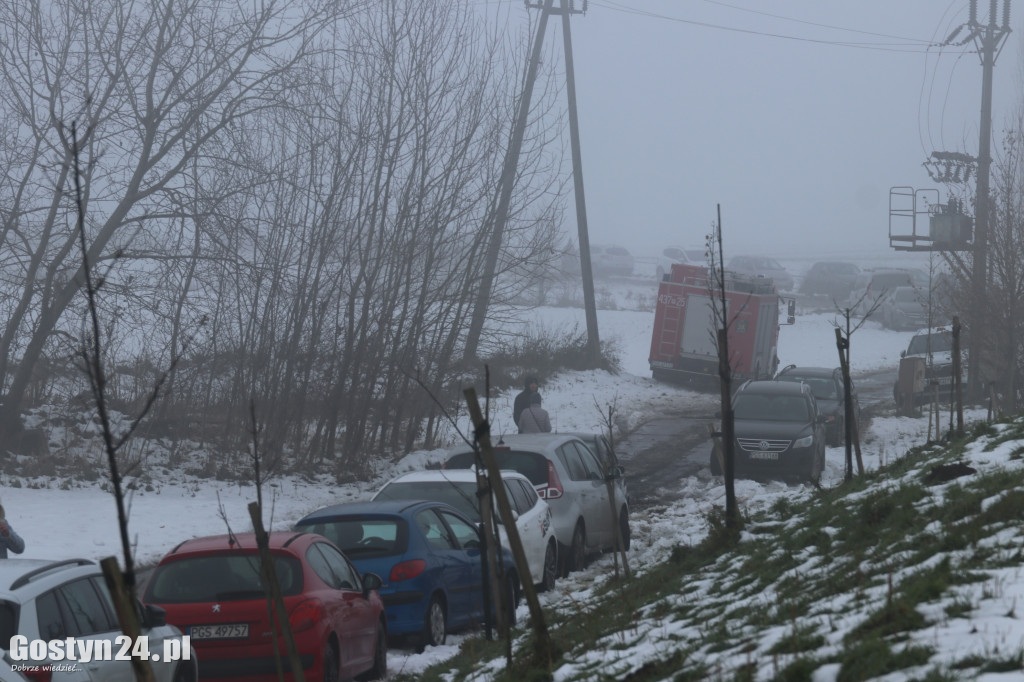 Mikołajkowy Dzień otwarty w schronisku w Dalabuszkach