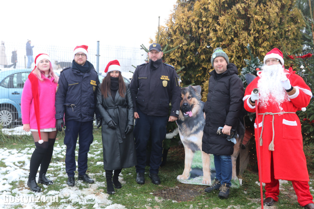 Mikołajkowy Dzień otwarty w schronisku w Dalabuszkach