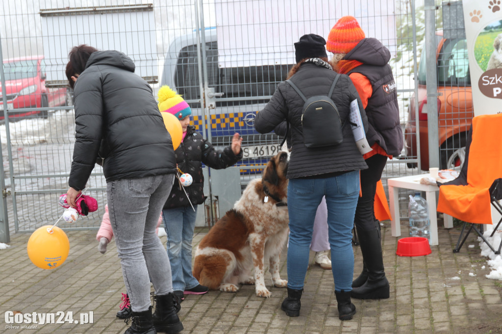Mikołajkowy Dzień otwarty w schronisku w Dalabuszkach