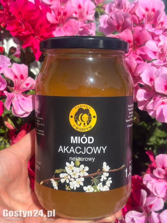 Domove Specjaly Miody Pasieka Marcysia