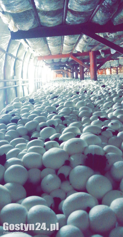 Z lokalnych produktów dania smakują lepiej.