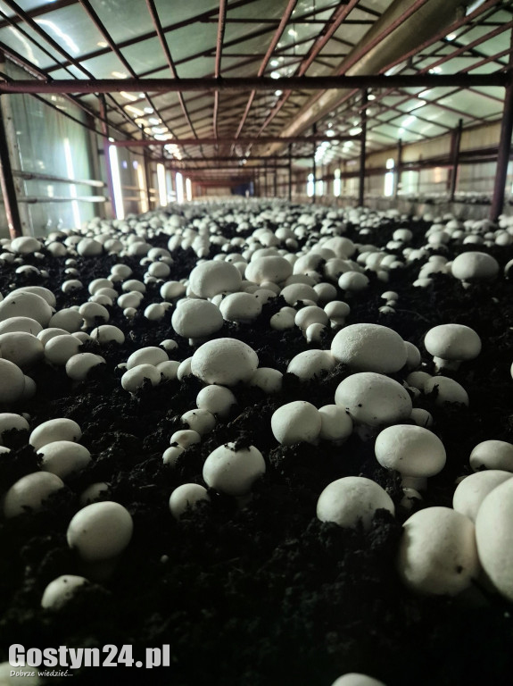 Z lokalnych produktów dania smakują lepiej.