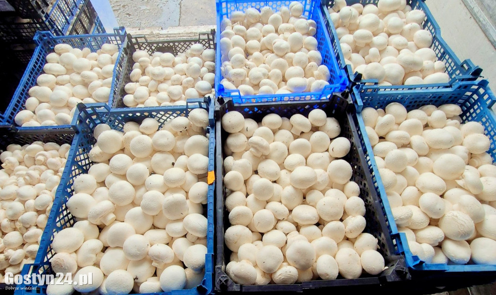 Z lokalnych produktów dania smakują lepiej.