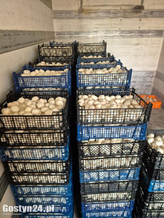 Z lokalnych produktów dania smakują lepiej.