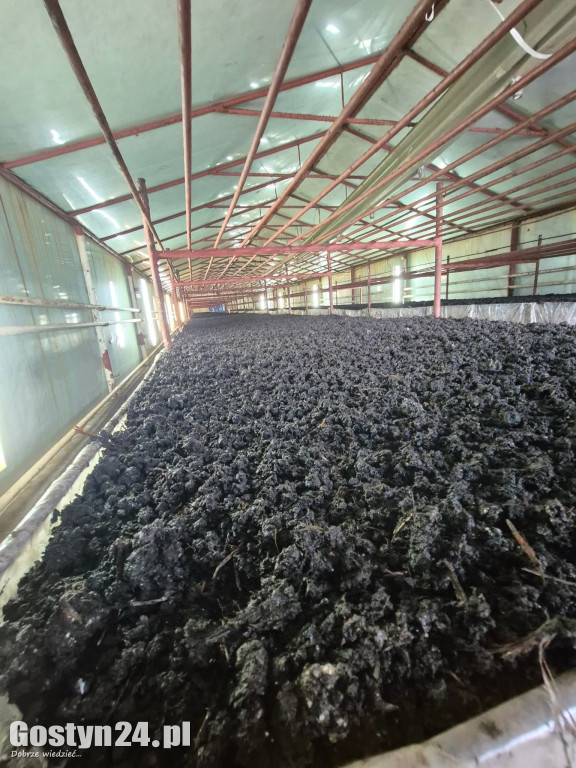 Z lokalnych produktów dania smakują lepiej.