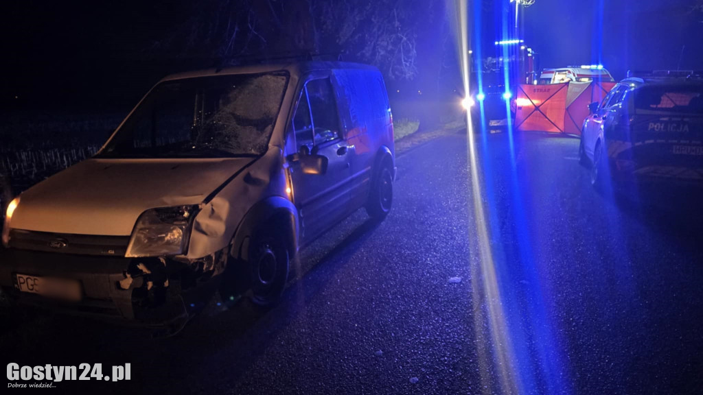 Śmiertelny wypadek pod Gostyniem