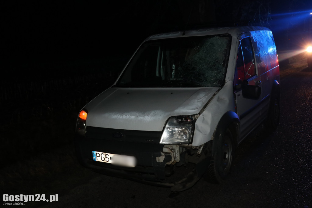 Śmiertelny wypadek pod Gostyniem