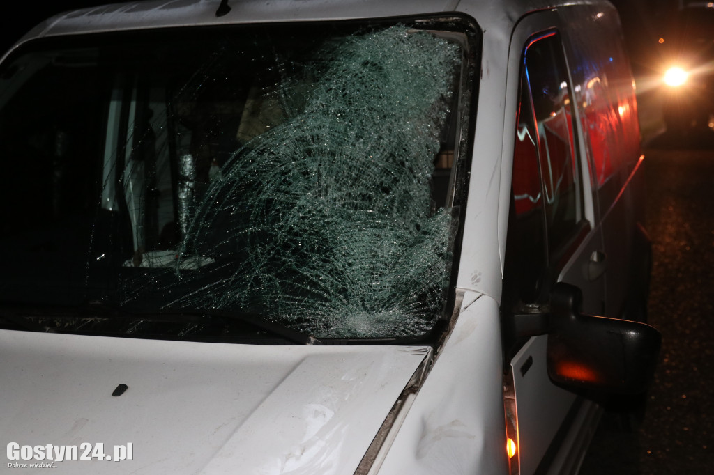 Śmiertelny wypadek pod Gostyniem