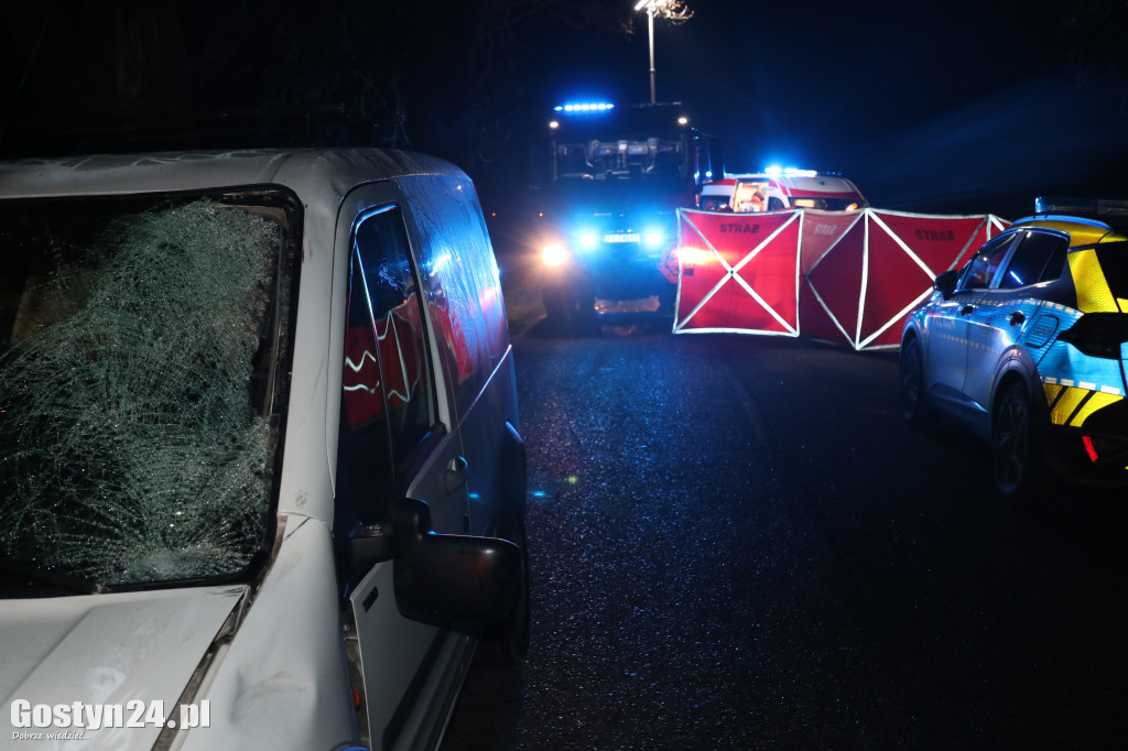 Śmiertelny wypadek pod Gostyniem