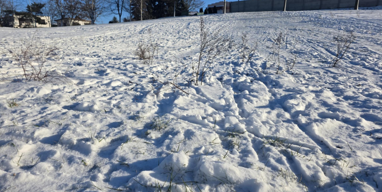 Wizytówka Gostynia rozjechana przez sanki