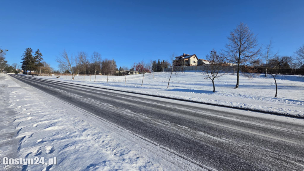 Wizytówka Gostynia rozjechana przez sanki