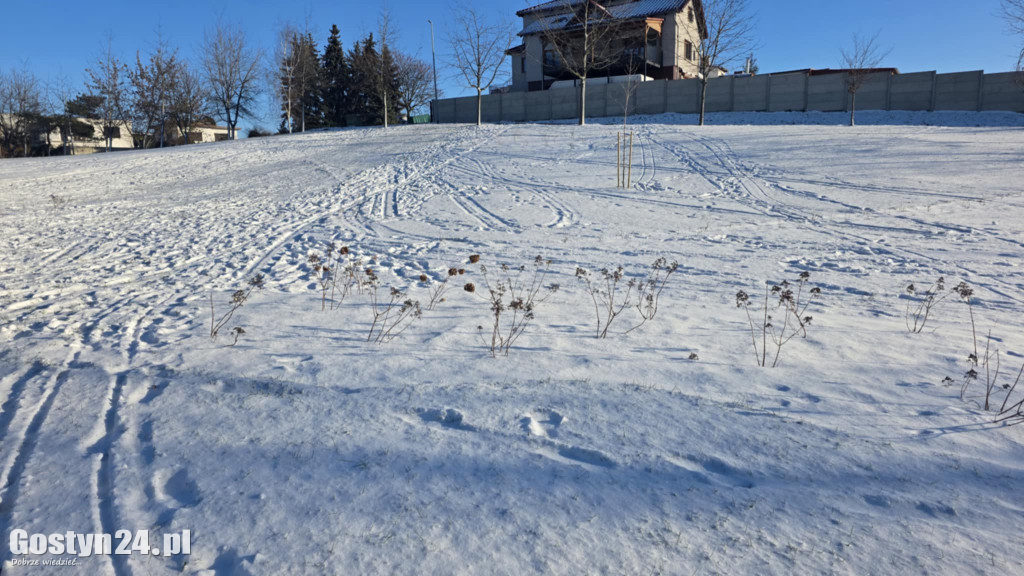 Wizytówka Gostynia rozjechana przez sanki