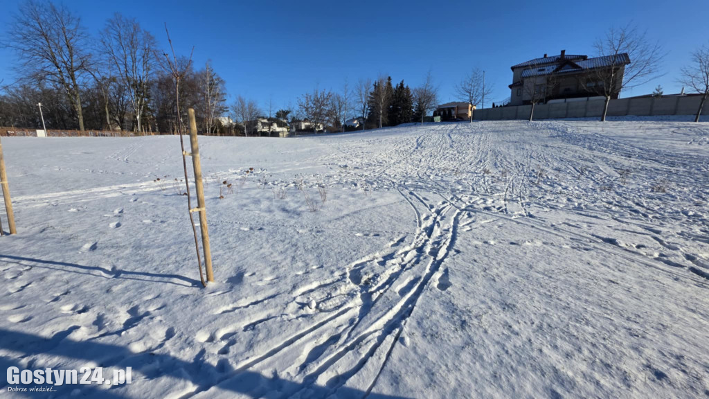 Wizytówka Gostynia rozjechana przez sanki