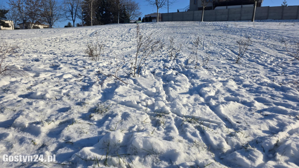 Wizytówka Gostynia rozjechana przez sanki