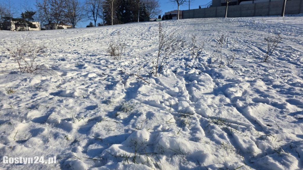 Wizytówka Gostynia rozjechana przez sanki