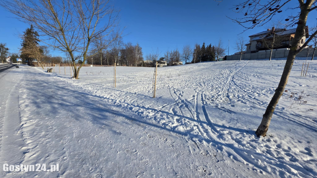 Wizytówka Gostynia rozjechana przez sanki