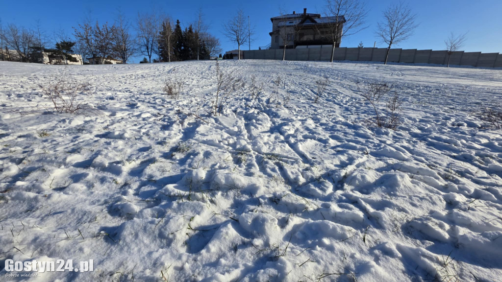 Wizytówka Gostynia rozjechana przez sanki