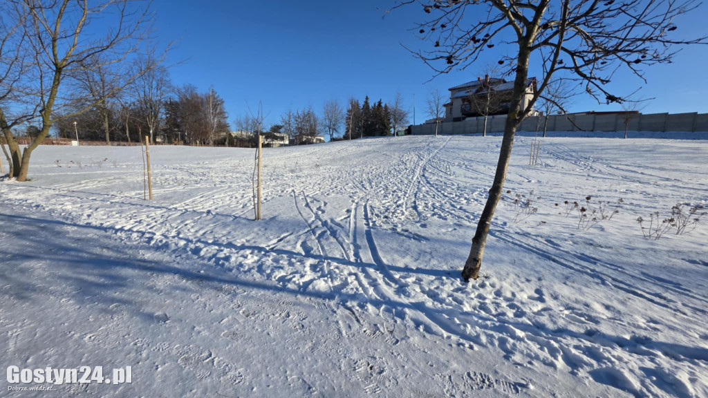 Wizytówka Gostynia rozjechana przez sanki