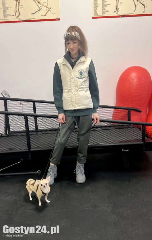 Widzisz, że Twój zwierzak cierpi? W Krobi znajdziesz dla niego pomoc