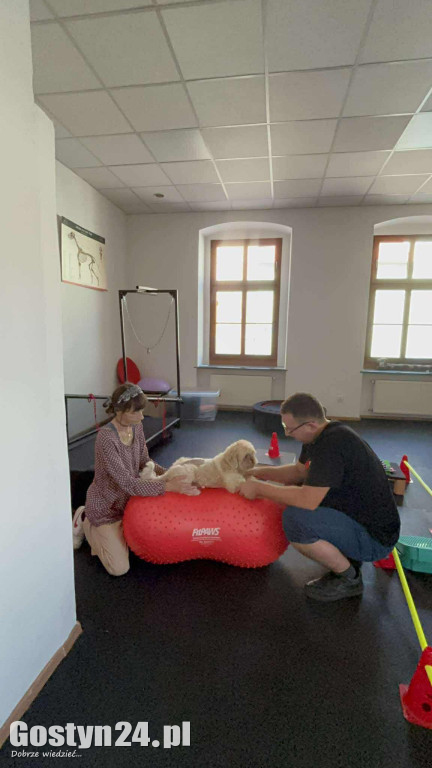 Widzisz, że Twój zwierzak cierpi? W Krobi znajdziesz dla niego pomoc