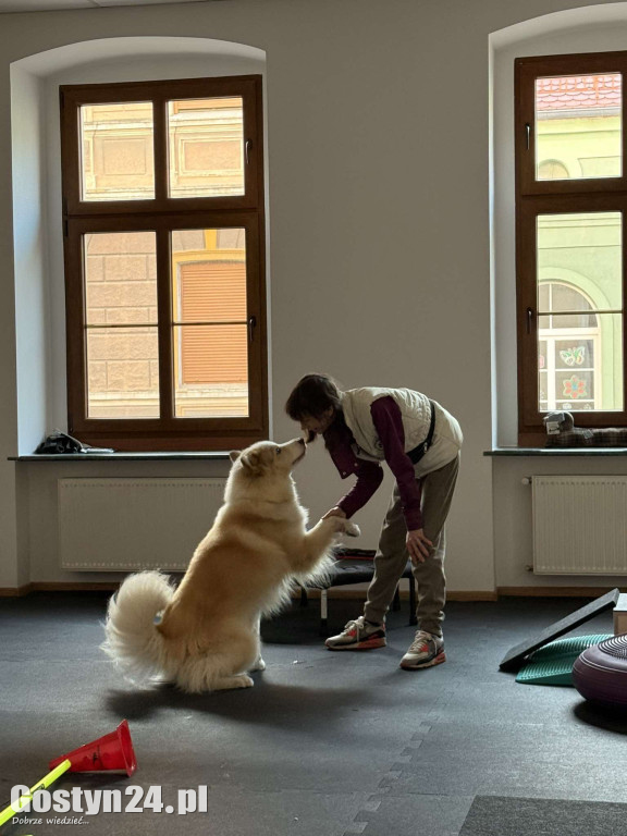 Widzisz, że Twój zwierzak cierpi? W Krobi znajdziesz dla niego pomoc