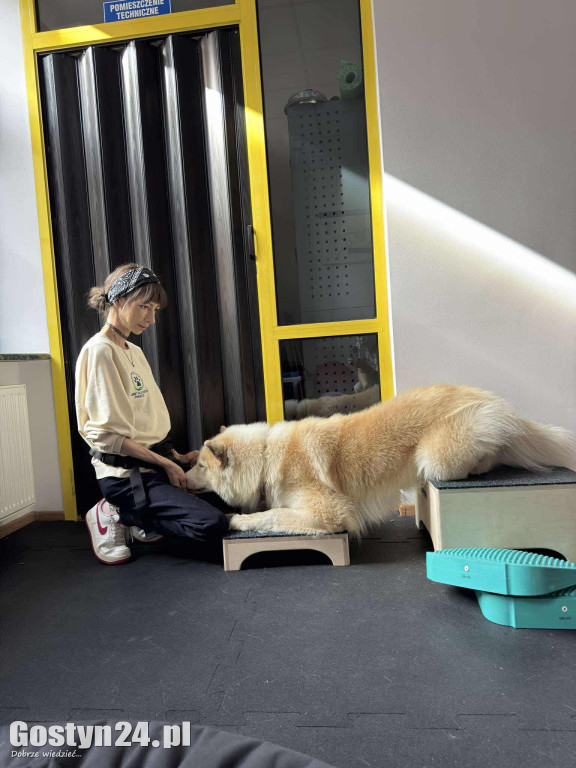 Widzisz, że Twój zwierzak cierpi? W Krobi znajdziesz dla niego pomoc