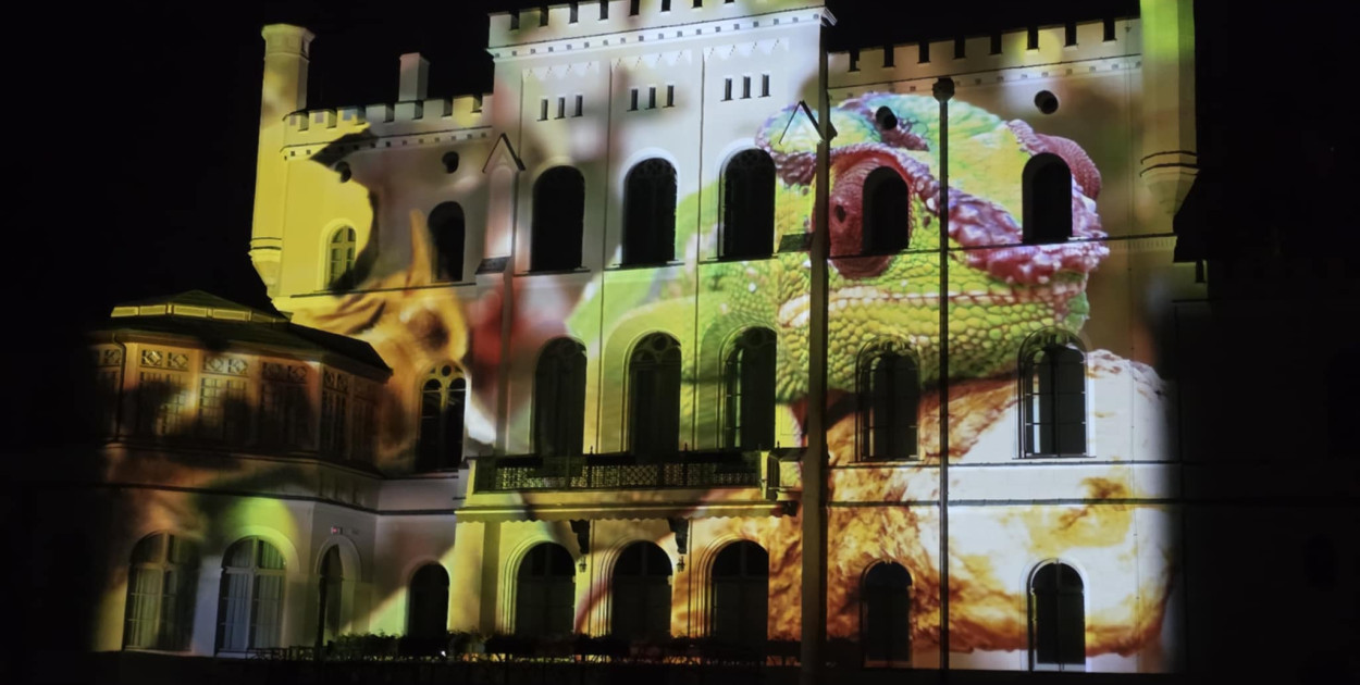 Festiwal Światła Kalejdoskop w Zamku Wielkopolskim