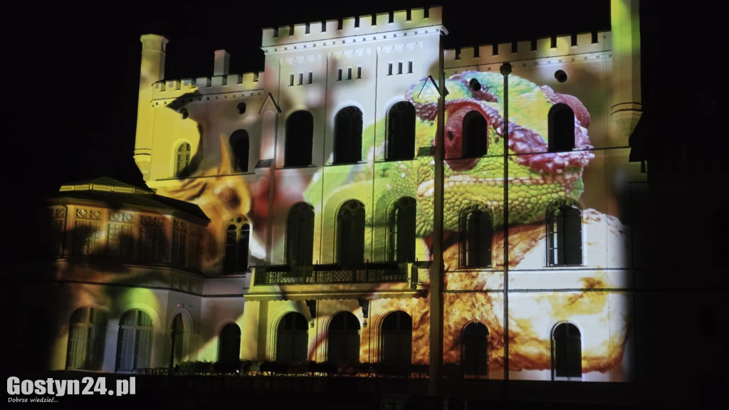 Festiwal Światła Kalejdoskop w Zamku Wielkopolskim