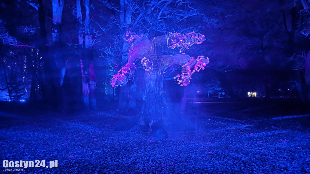 Festiwal Światła Kalejdoskop w Zamku Wielkopolskim