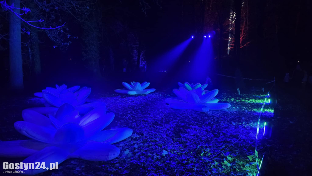 Festiwal Światła Kalejdoskop w Zamku Wielkopolskim