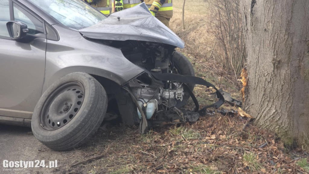 Wypadek w miejscowości Strumiany