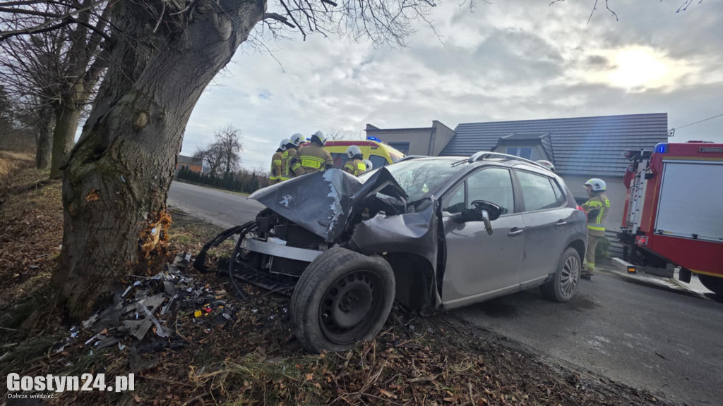 Wypadek w miejscowości Strumiany