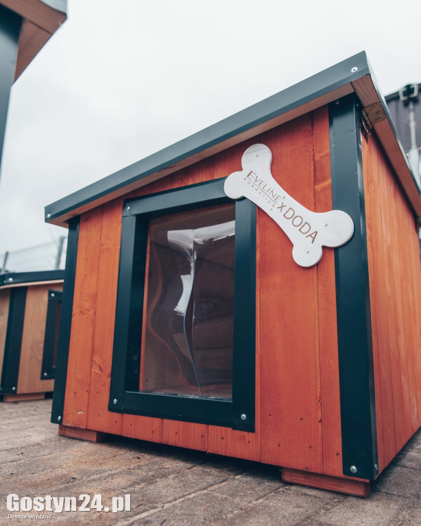 Budy od Dody dla schroniska w Dalabuszkach