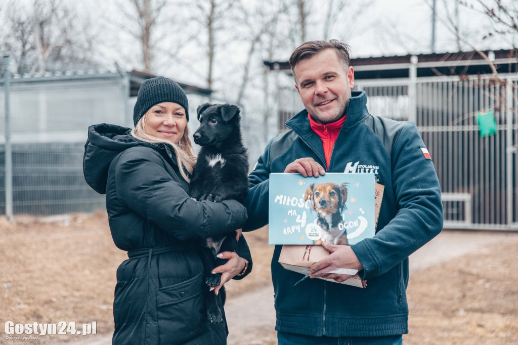 Budy od Dody dla schroniska w Dalabuszkach