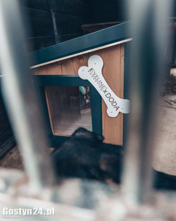 Budy od Dody dla schroniska w Dalabuszkach