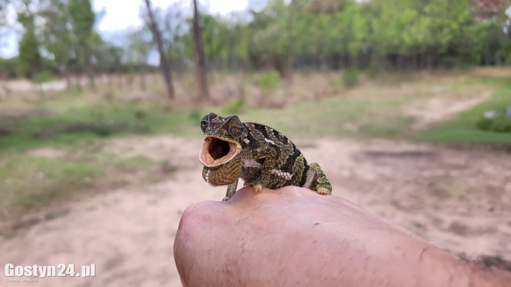 Szymon Przebinda zobaczył Afrykę bez pocztówkowego filtra