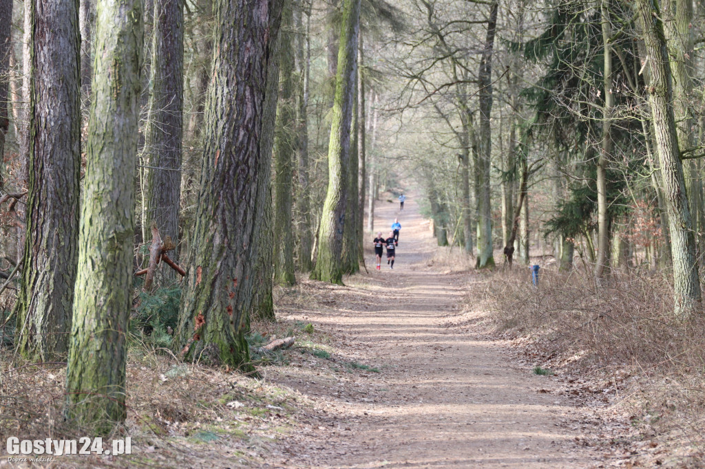 Pierwszy Bieg Wilczym Tropem w Gostyniu