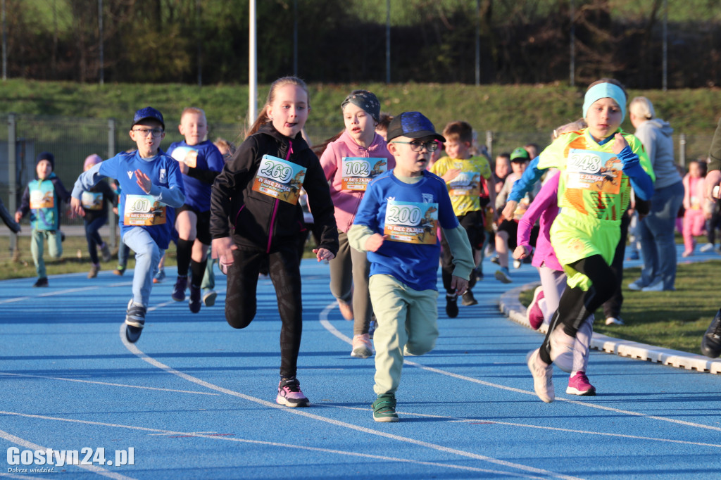 4. edycja Biegu Zająca w Gostyniu
