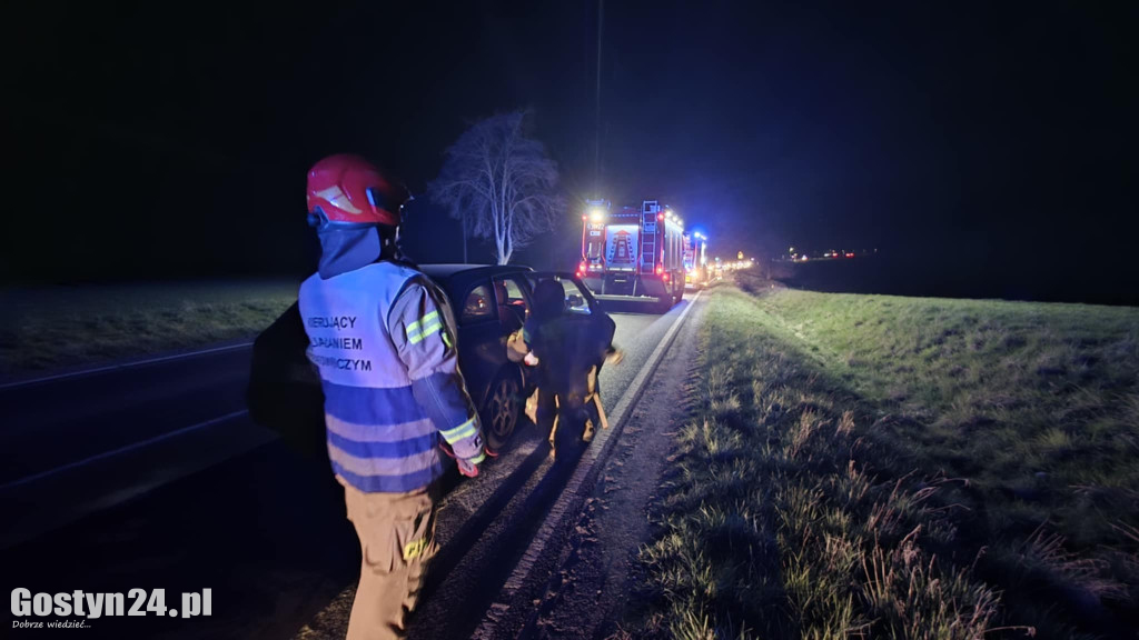 Piątkowe zderzenie na trasie Gola-Płaczkowo