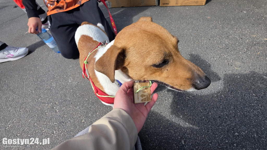 Biegowa niedziela w Piaskach