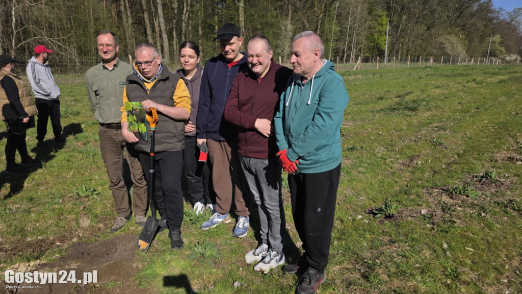 Sadzenie drzew w Lesie Dobrych Wspomnień