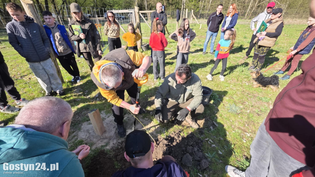 Sadzenie drzew w Lesie Dobrych Wspomnień
