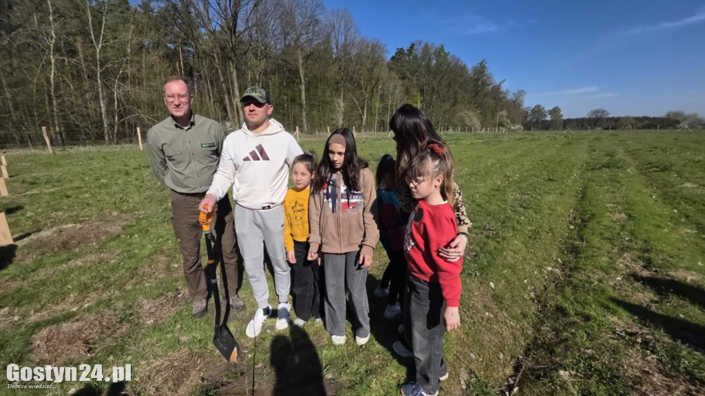 Sadzenie drzew w Lesie Dobrych Wspomnień