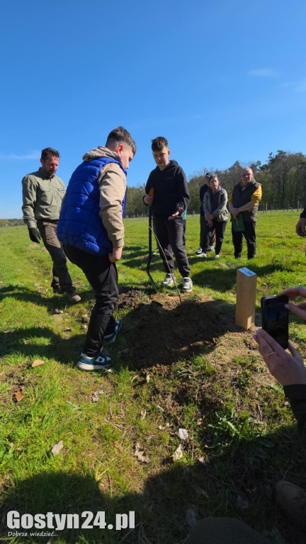 Sadzenie drzew w Lesie Dobrych Wspomnień