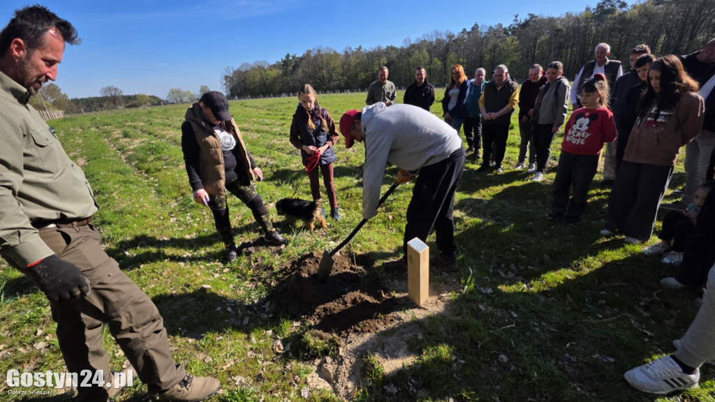Sadzenie drzew w Lesie Dobrych Wspomnień
