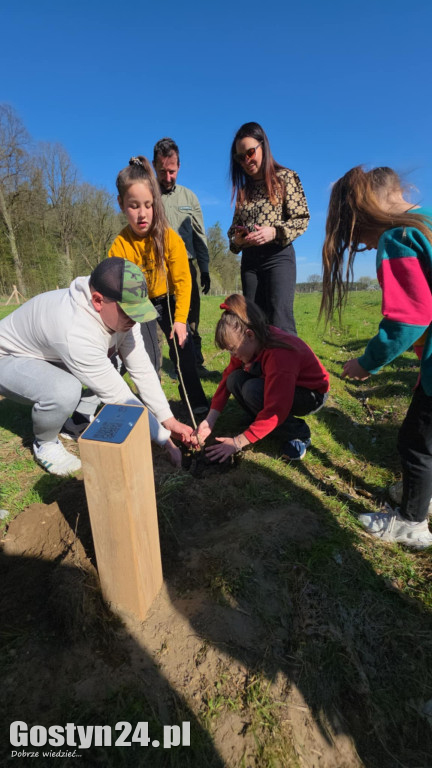 Sadzenie drzew w Lesie Dobrych Wspomnień