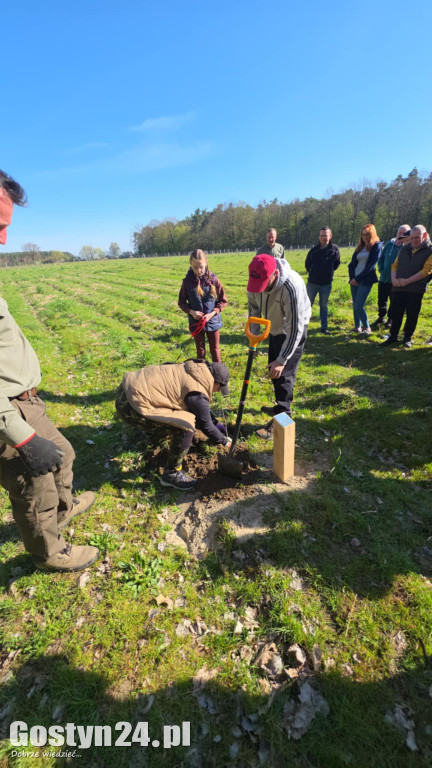 Sadzenie drzew w Lesie Dobrych Wspomnień