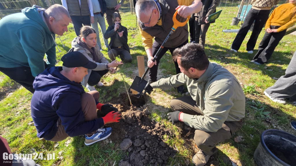 Sadzenie drzew w Lesie Dobrych Wspomnień
